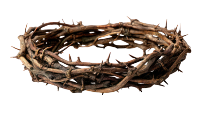 A crown of thorns, intricately woven