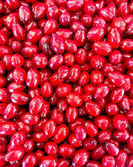 Close-up of fresh ripe dogwood berries filling the frame. Bright red cornelian cherries as healthy organic background.