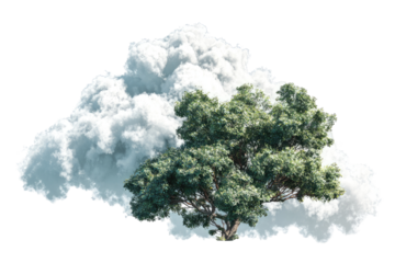 A tree nestled within a large cloud