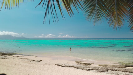 Fototapeta premium Woman walks into a sparkling turquoise lagoon from a white sandy beach, surrounded by palm trees and a clear blue sky, creating a tropical paradise perfect for relaxation and exploration