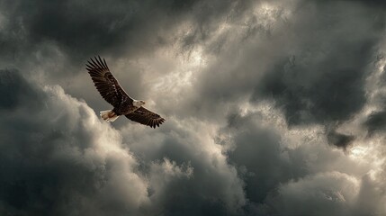 Majestic eagle soaring through stormy sky