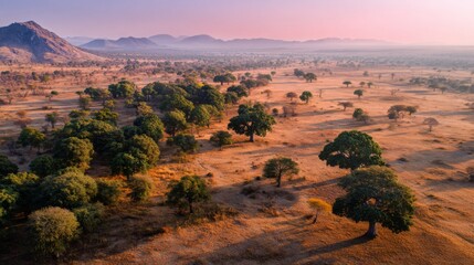 Aerial view of African savanna landscape at sunrise scattered trees dry grass and distant mountains