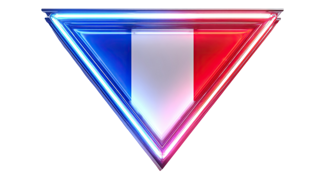 Neon French flag in a triangle shape