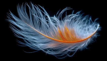 Naklejka premium A feather's delicate form, light & vibrant
