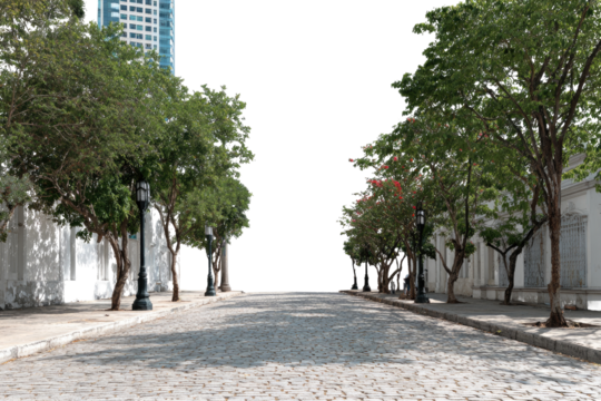 City street lined with trees