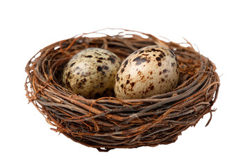 Obraz premium Two speckled eggs nestled in a rustic bird's nest