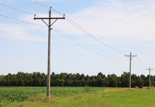 power lines on a field