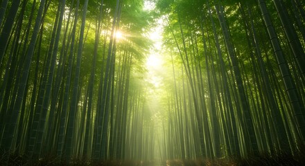 Peaceful Bamboo Light
