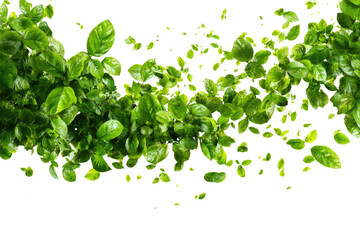 Fototapeta premium Abstract design of vibrant green leaves