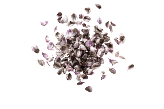 Delicate, dried flower petals scattered