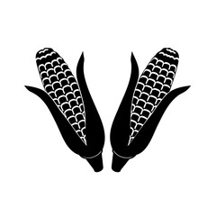 3d corn silhouette design agriculture  jpg on white background