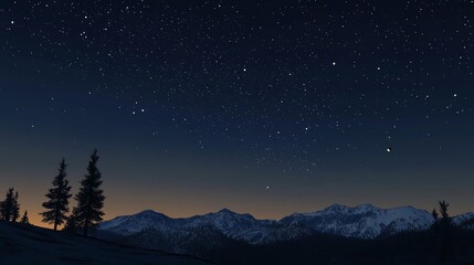 Night landscape featuring trees mountains and a sky full of stars and constellations view scene