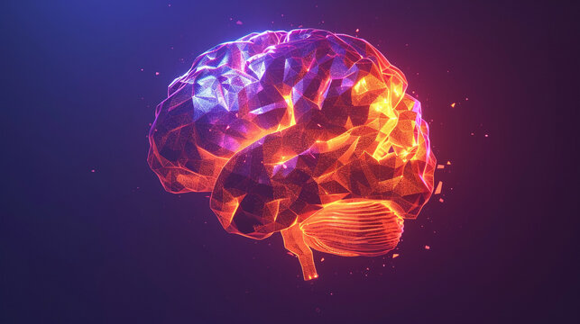 human brain in the dark