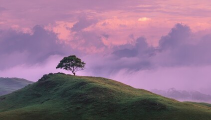 Solitary tree atop a verdant hill bathed in a soft, dusky, pink sunrise