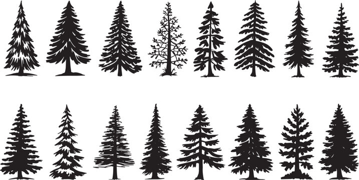 A festive set of winter forest trees, including pine and fir silhouettes, for your Christmas and holiday nature illustrations	
