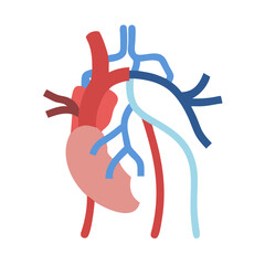 Illustration of human heart and circulatory system on black backdrop