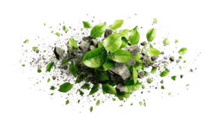 Lush green leaves sprout from a bursting pile of gray rocks