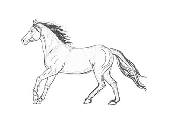continuous line drawing of horse single line art vector on white background