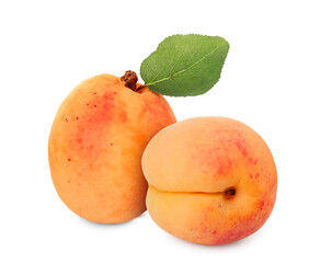 Fresh juicy apricots isolated on white. Summer fruit