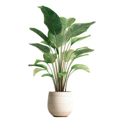 A vibrant potted plant with large, variegated leaves