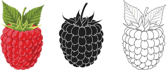Raspberry Vector Set – Realistic, Silhouette, and Line Art Styles for Food Packaging, Print, Coloring Pages, and Organic Design Projects