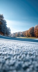 Frosty autumn park vista.  A low-angle view of a snowy park.  Trees in autumn colors (orange, brown) are in the background, and a clear blue sky fills the top.  
