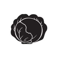 Cabbage Vector (1).eps