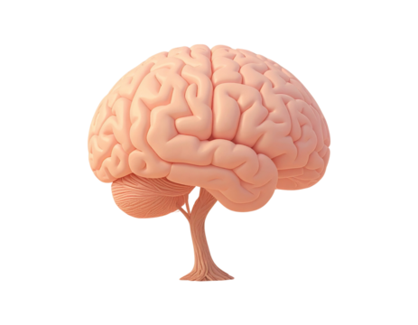 3d minimal brain. learning and education concept. symbol of knowledge. 3d illustratio 