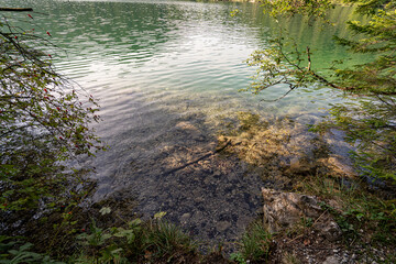 Calm lake water reflects greenery under bright sunlight on a tranquil summer day