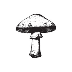 Mushroom Vector (3).eps