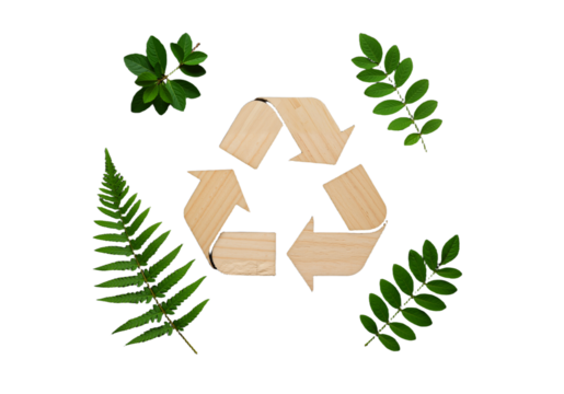 Recycle Concept Sustainable Future with Green Leaves and Natural Arrows