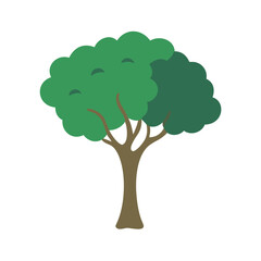 Illustration of a tree with green leaves and brown trunk