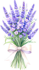 Fototapeta premium Bouquet of Lavender: A watercolor bouquet, with elegant sprigs of lavender, artfully bound with a delicate ribbon, exudes a sense of tranquility. Botanical for Wedding Invitation, Greeting Card, 