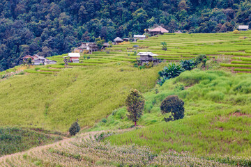 View of rice terrace in the valley with a traditional rural house located in Chiangmai province, Northern of Thailand