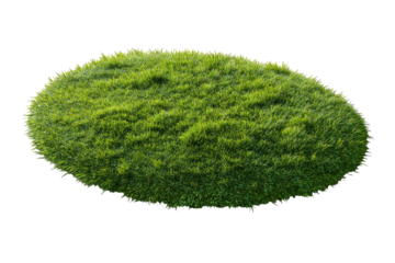 Oval patch of vibrant green grass
