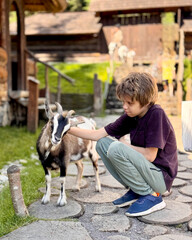 A boy pets a baby goat at a petting zoo.