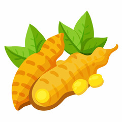 Turmeric with Leaves Illustration