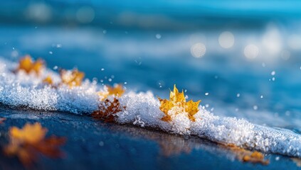 Autumn leaves on a shoreline