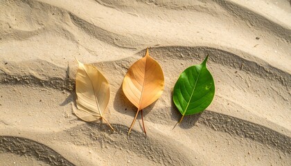 Three leaves, displaying a spectrum of colors, rest on a textured sandy surface, showcasing the transition from autumn to spring.
