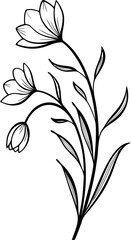 flower hand drawn vector