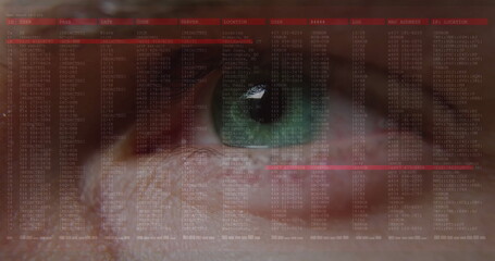 Scanning human eye revealing radial patterns in virtual interface, with digital code logs overlay