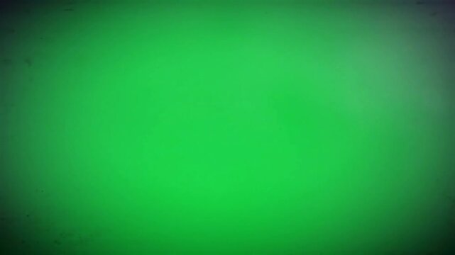 Blurred, muted green background with subtle shading.