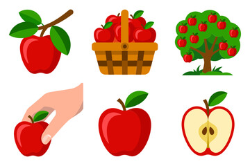 Red apple elements, branch with green leaf, full basket and orchard tree, hand picks ripe fruit, whole and half apple, healthy food vector illustration, clean white background