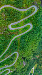 Winding road through lush greenery in Lysefjord, Norway offers breathtaking views