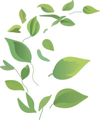 Green Leafy Vine Illustration