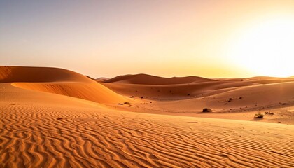 Golden Sand Dunes at Sunset
