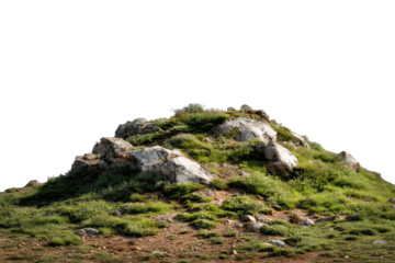 Rocky hilltop covered in greenery