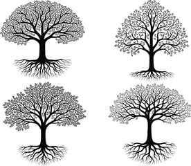 tree, root, branch, forest, nature, leaf, ecology, growth, plant, silhouette, abstract, organic, wood, life, design, 
