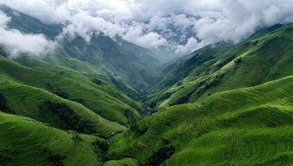 Obraz premium Lush green terraced rice paddies ascend mountainous valley