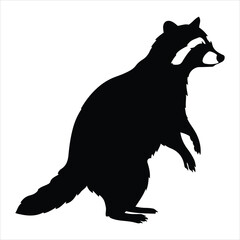 Silhouette of a raccoon standing upright with distinctive mask and ringed tail